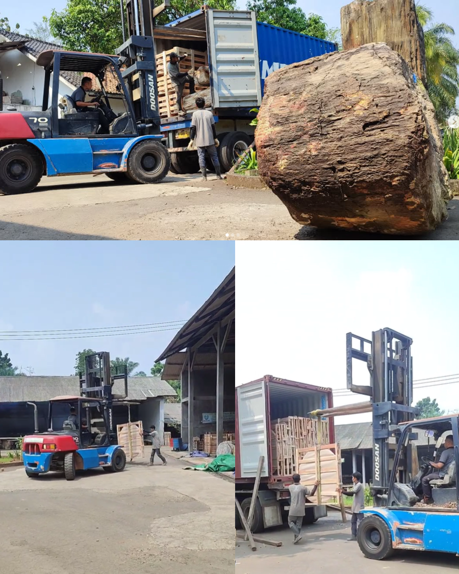 Indonesian shipping petrifiedwood
